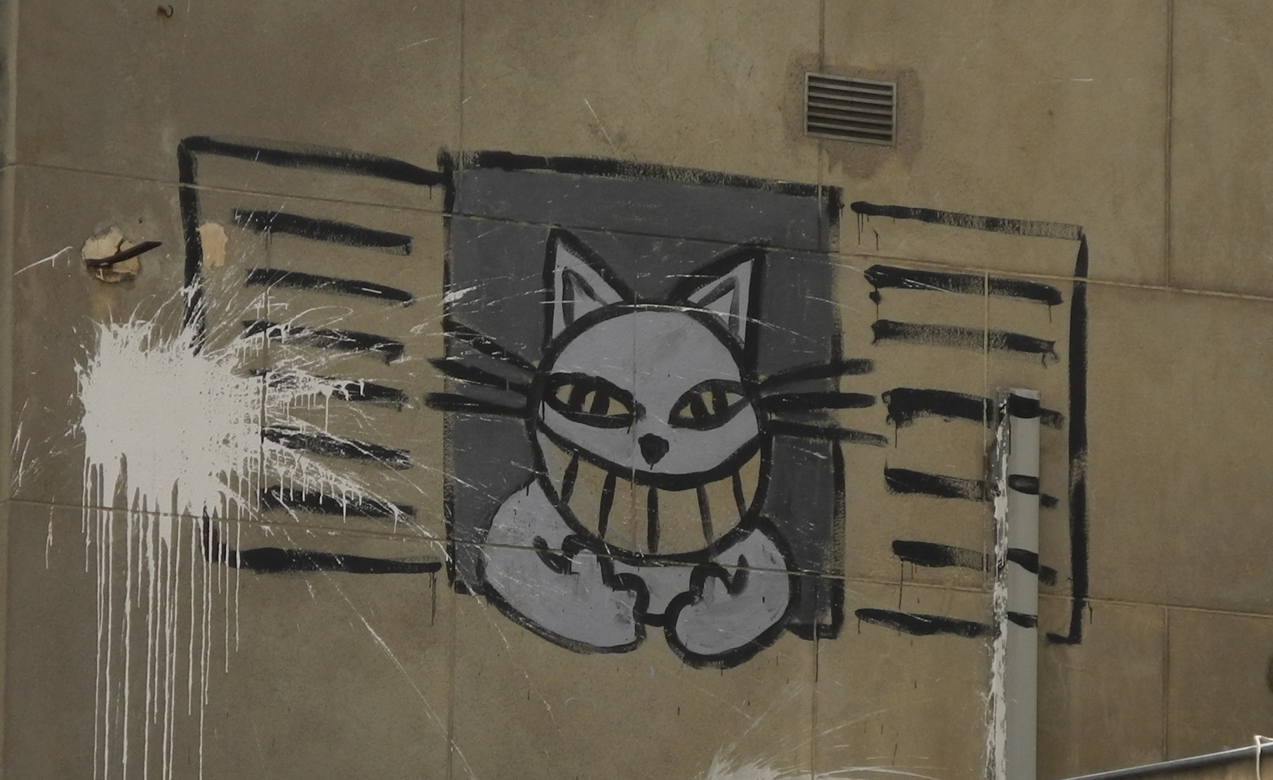 The Cat is Smiling at Me Again