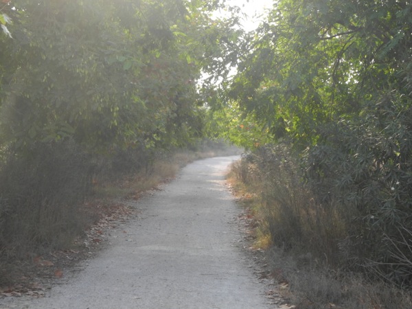 Safety First – Good Ideas for Expats